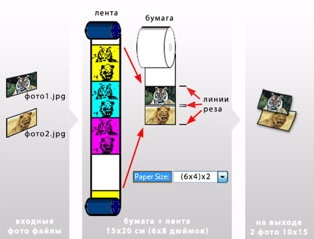 6х4х2 фото