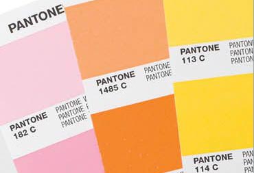�������� ���������� PANTONE STARTER GUIDE Solid Coated & Uncoated (GG1511)