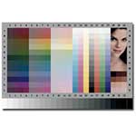 ������������� ������ Kodak IT8.7 4x5 inch transparent